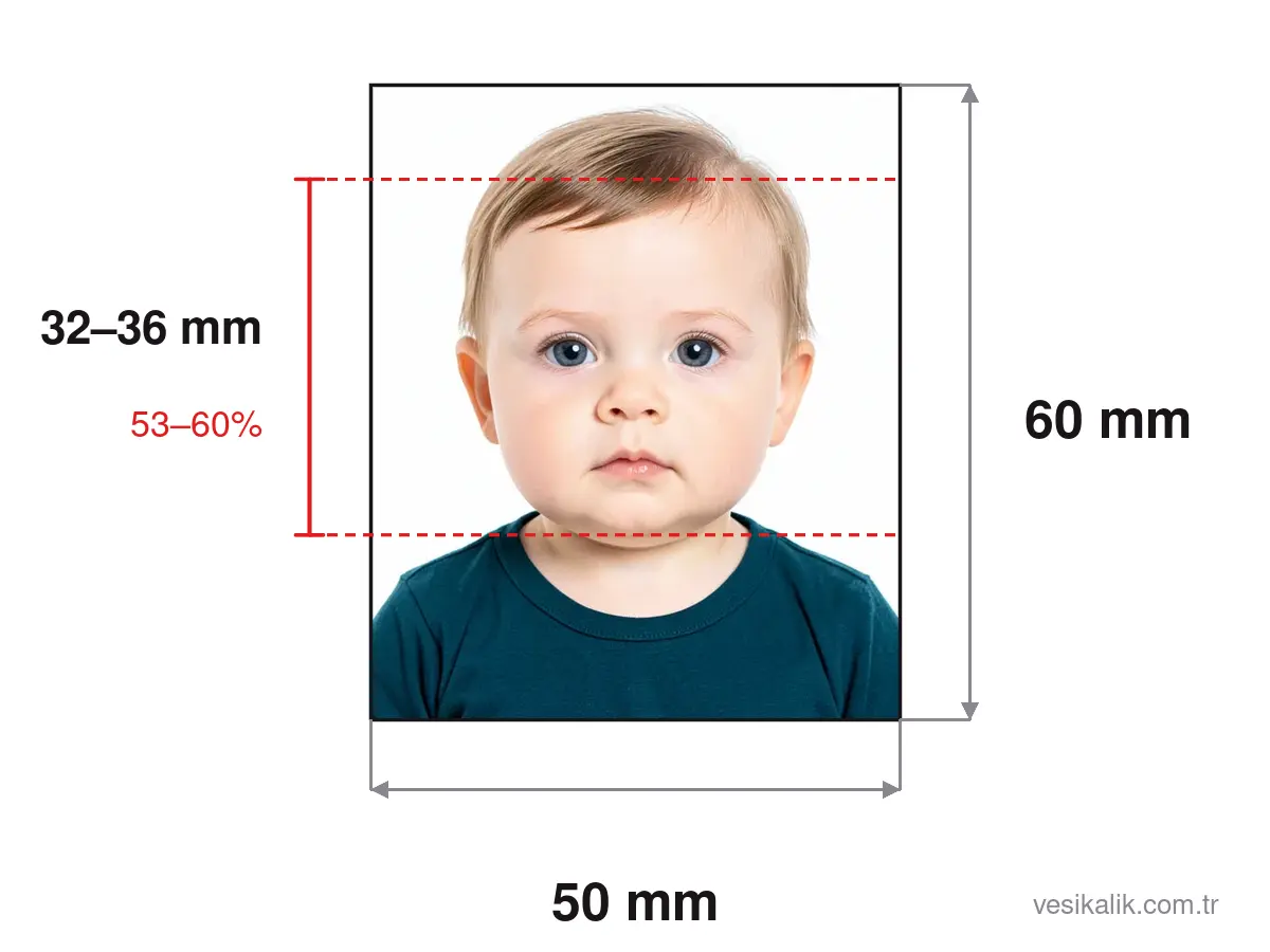 مخطط مقاس صورة جواز الرضيع: صورة 50×60 ملم، ارتفاع الرأس 32–36 mm