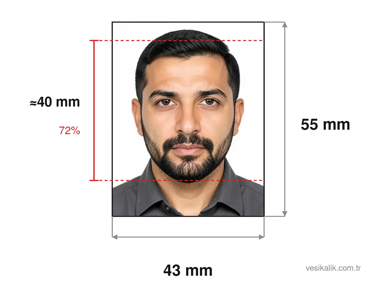 مخطط مقاس صورة تأشيرة الإمارات/دبي: صورة 43×55 ملم، ارتفاع الرأس ≈40 mm